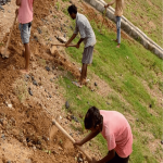 Providing Turfing/Planting with Jute Geo-Textile (JGT) Major Bridge, KRV-CJM section, Vijayawada
