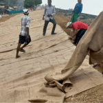 Providing Turfing/Planting with Jute Geo-Textile (JGT) Loliya site in Ahmedabad
